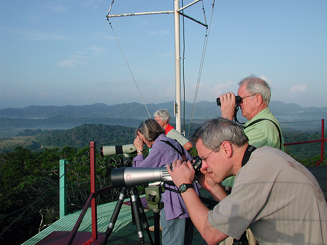 Birding from the Roof of Canopy Tower Photo by Ventures Birding Tours